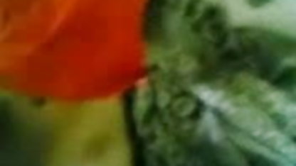 गंजा मर्दाना सेक्सी फिल्म वीडियो में हिंदी में fucks गर्म टुकड़ा में बालों वाली किट्टी