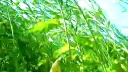 नग्न छेद ट्रेसी लिंडसे (15 तस्वीरें प्रेमकाव्य फुल सेक्सी इंग्लिश फिल्म की)